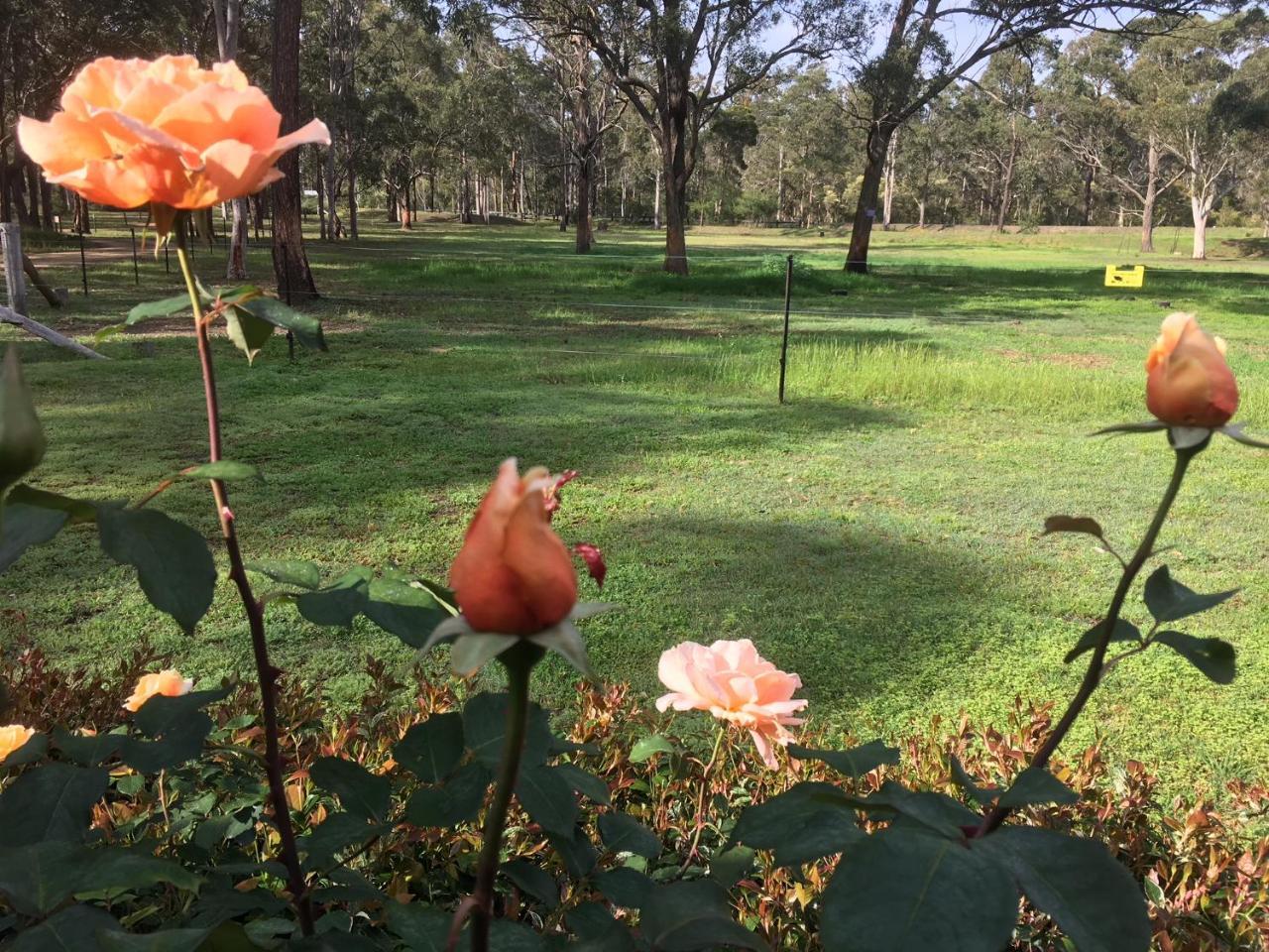 Hunter Valley Retreat Quorrobolong Extérieur photo