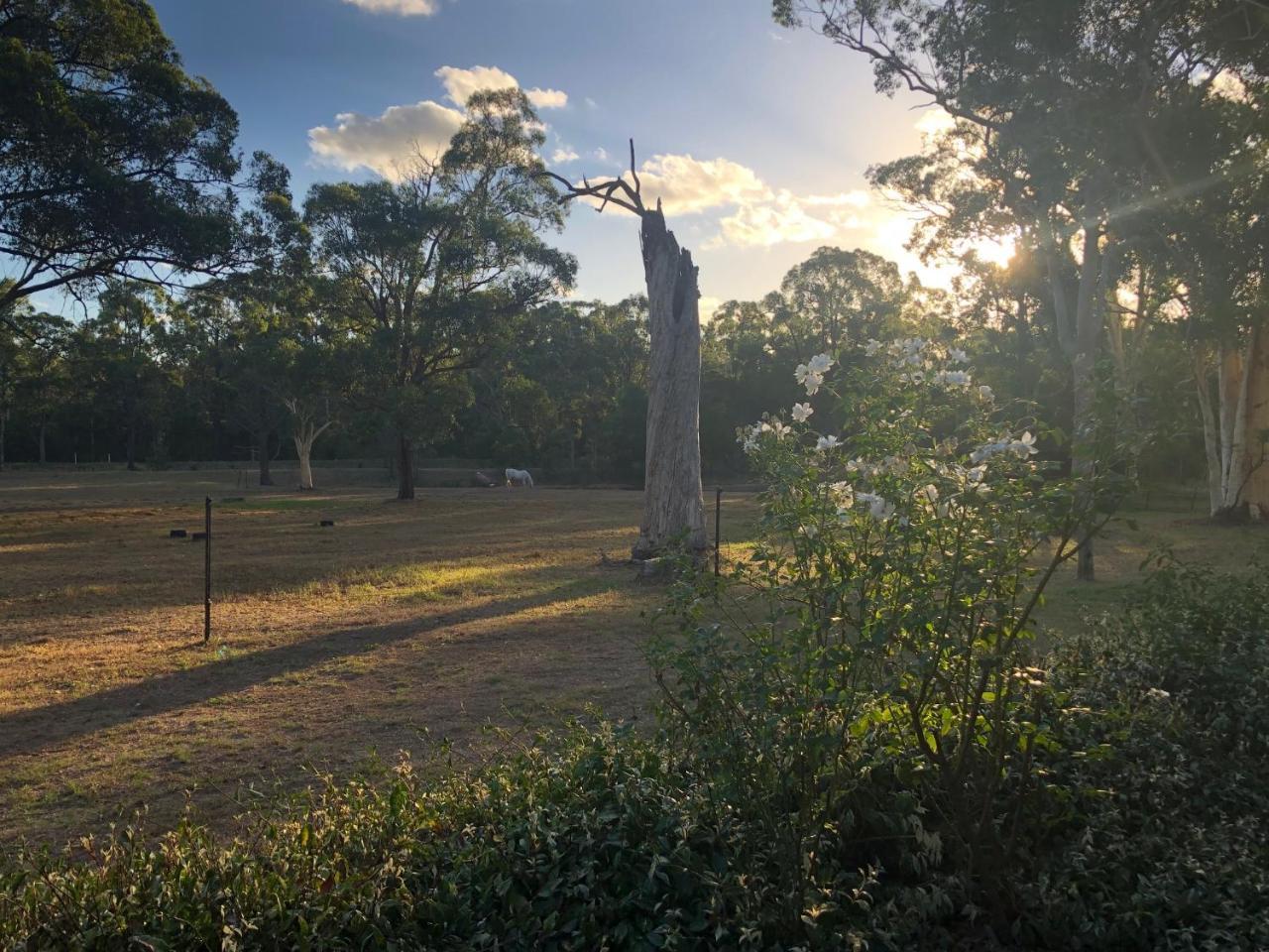 Hunter Valley Retreat Quorrobolong Extérieur photo
